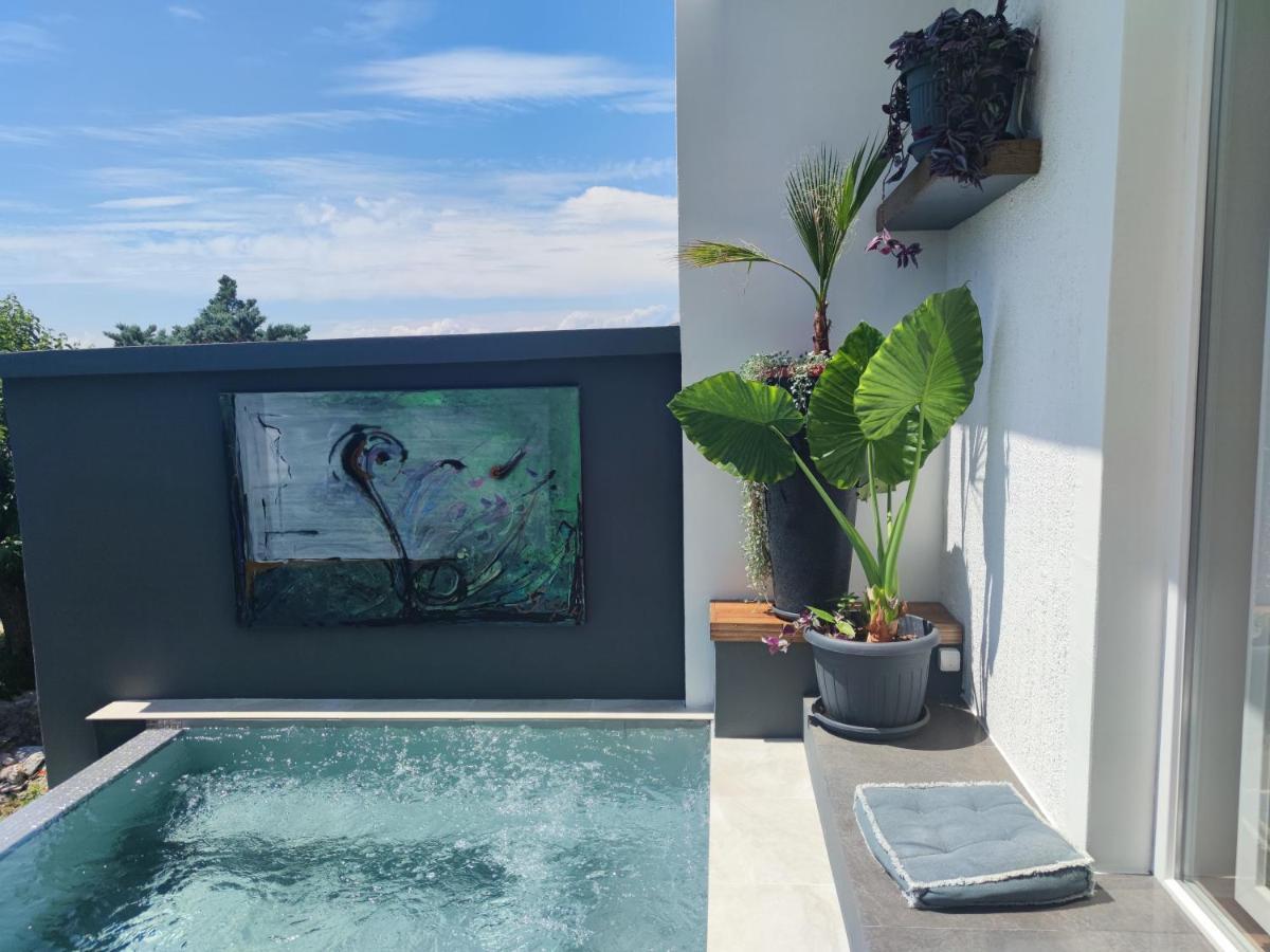 Art Gallery House With A Small Relaxing Pool ツリクヴェニツァ エクステリア 写真