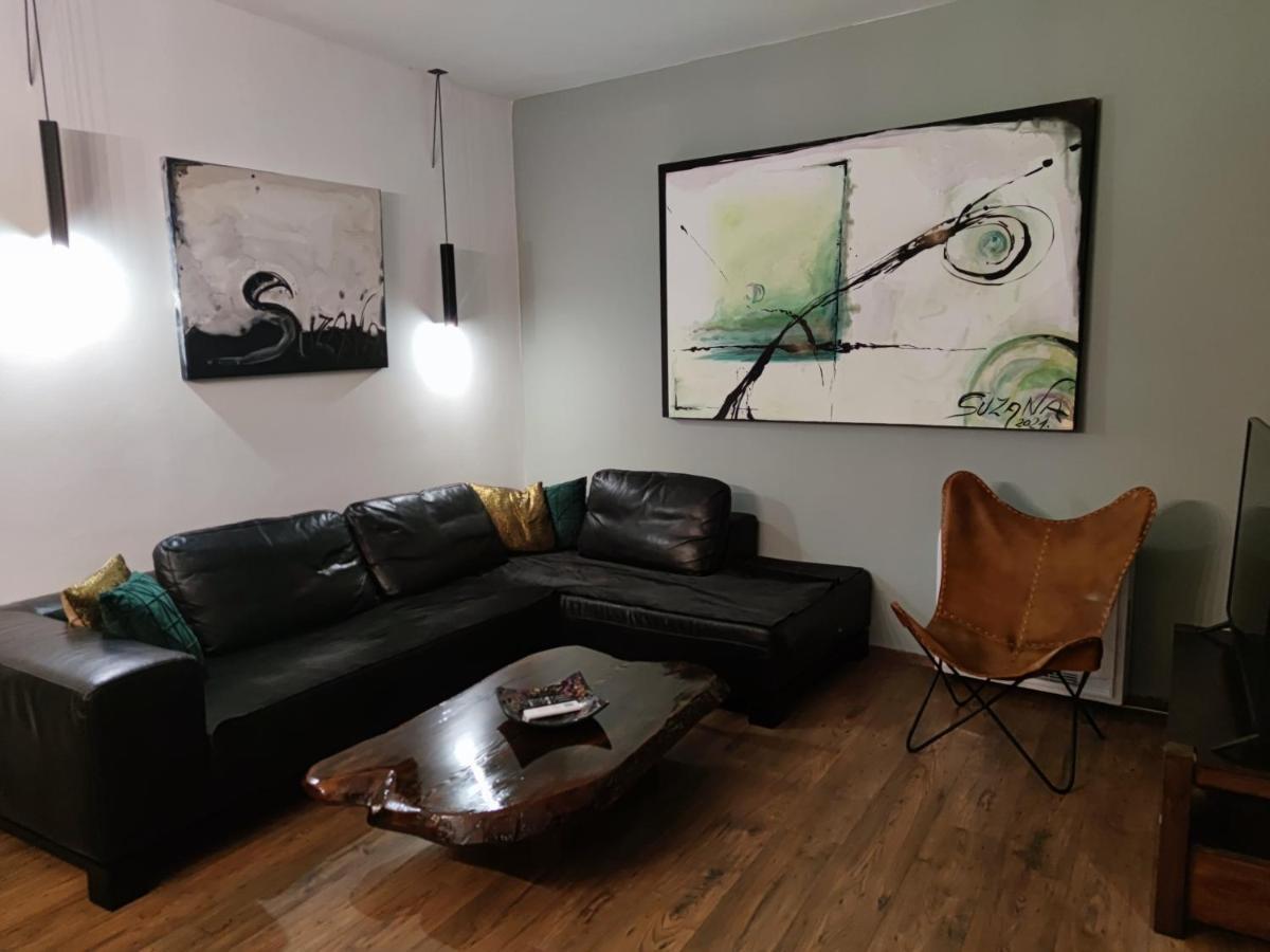 Art Gallery House With A Small Relaxing Pool ツリクヴェニツァ エクステリア 写真